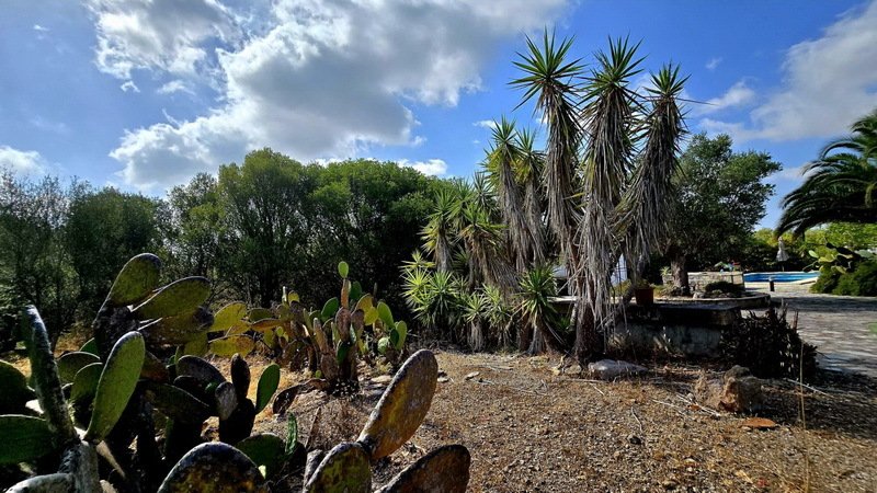 Finca in Sant Llorenc des Cardassar, Balearic Islands, Spain 4 - 18626528