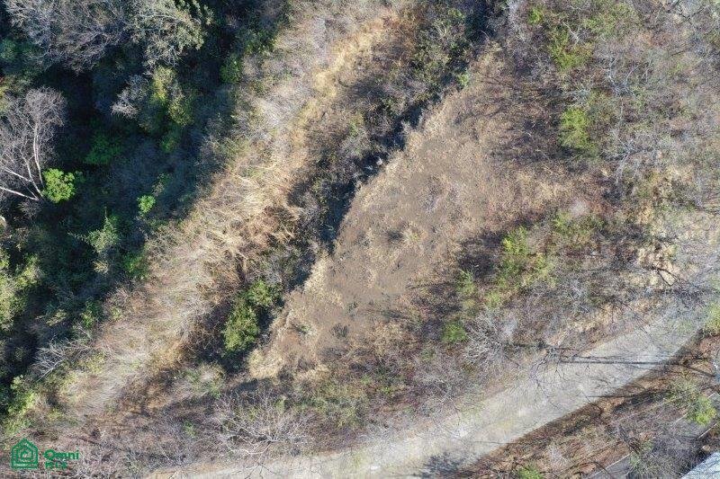 Land in Carrillo, Costa Rica 3 - 17810274