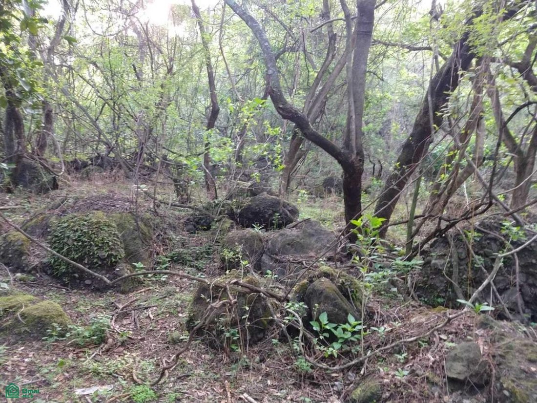 Land in El Golan, Morelos, Mexico 4 - 17814549