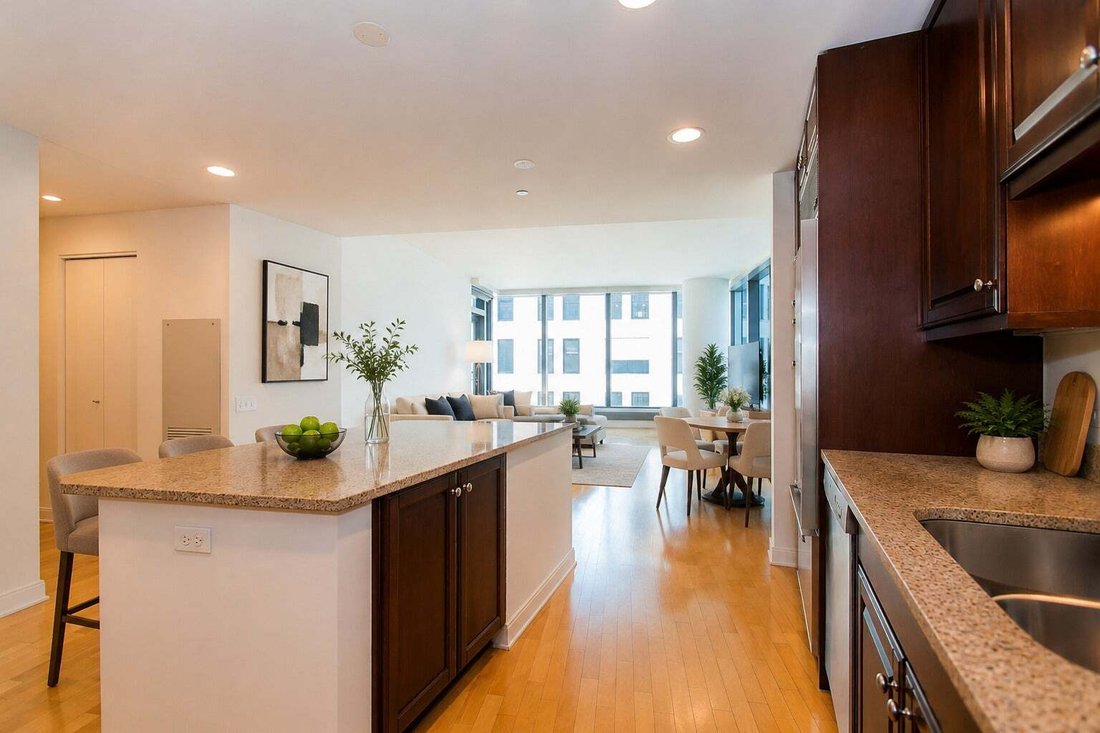 Condo in Chicago, Illinois, United States 5 - 18628643