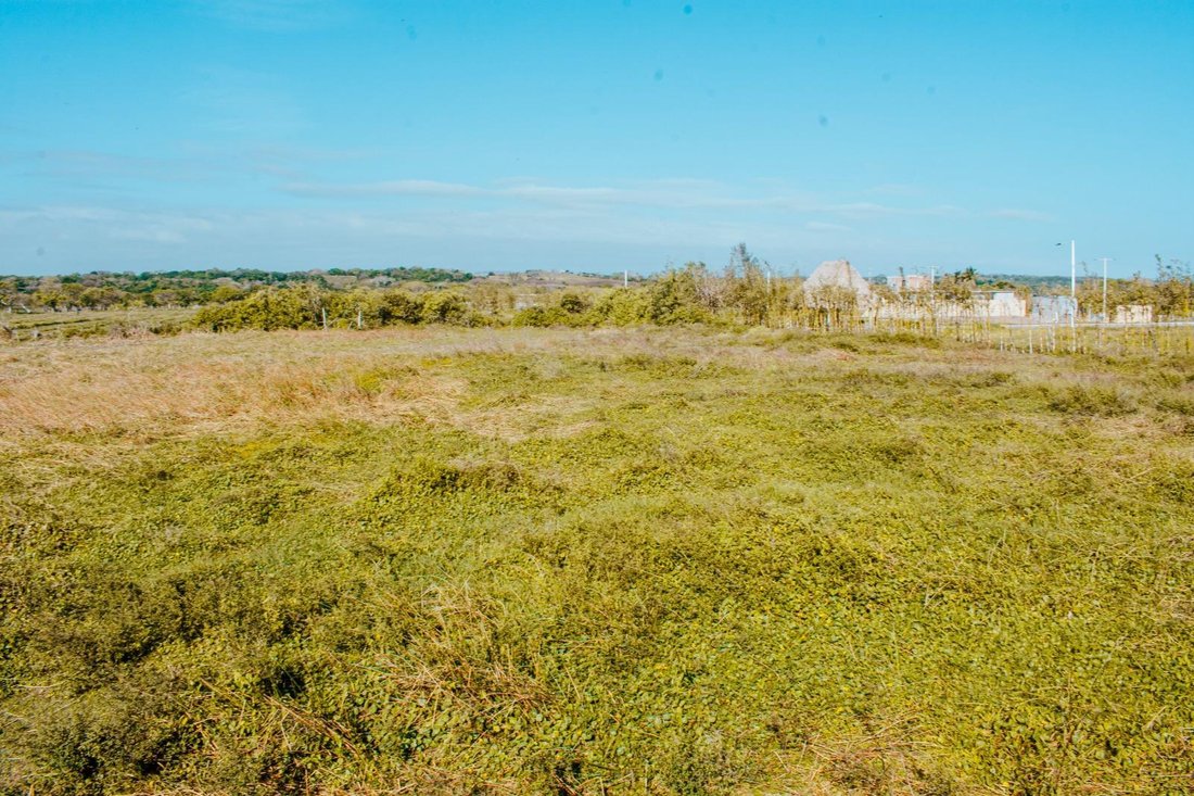 Land in Playa Zapote, Veracruz, Mexico 1 - 18629599