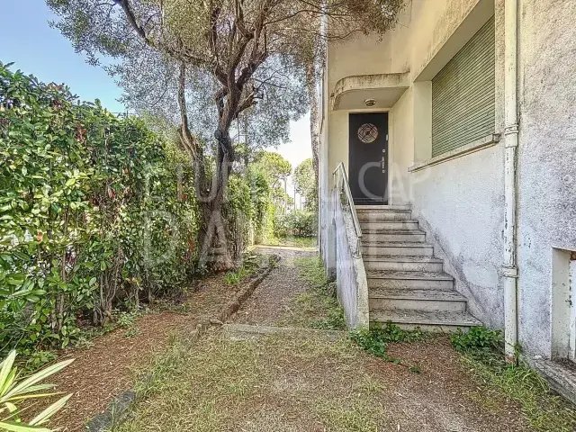 Villa in Fontmerle, Antibes, France 5 - 15900982
