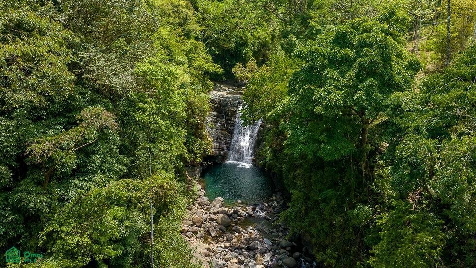 Land in Quebrada, Puntarenas Province, Costa Rica 3 - 18592230