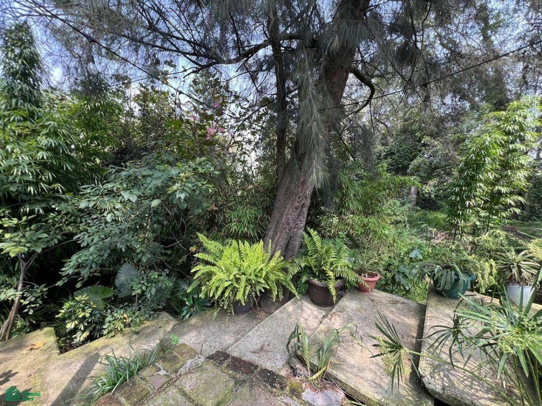 Terreno a Santa Catarina Yecahuitzotl, Distretto Federale, Messico 5 - 18399766