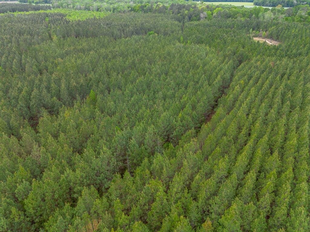 Land in Abbeville, Georgia, United States 3 - 18628086