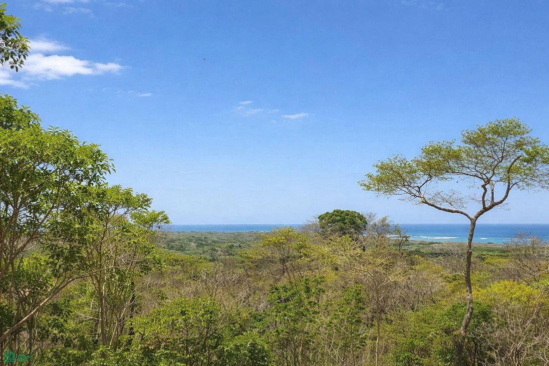 Land in Tamarindo, Guanacaste Province, Costa Rica 1 - 17811368