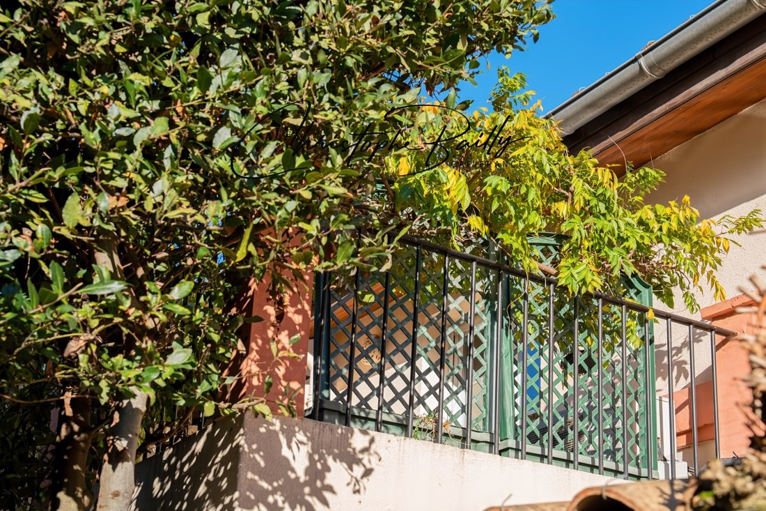 House in Côte Pavée-L Hers-La Terrasse, Toulouse, France 5 - 17241817