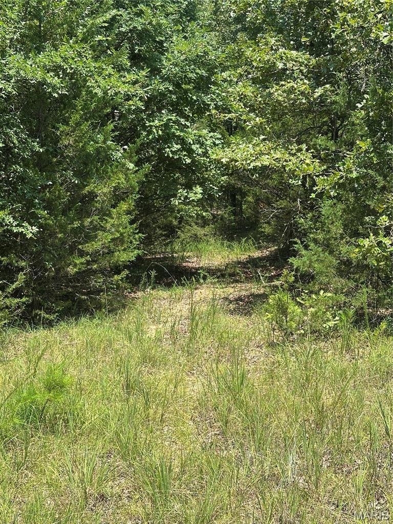 Land in Drury, Missouri, United States 4 - 18628096