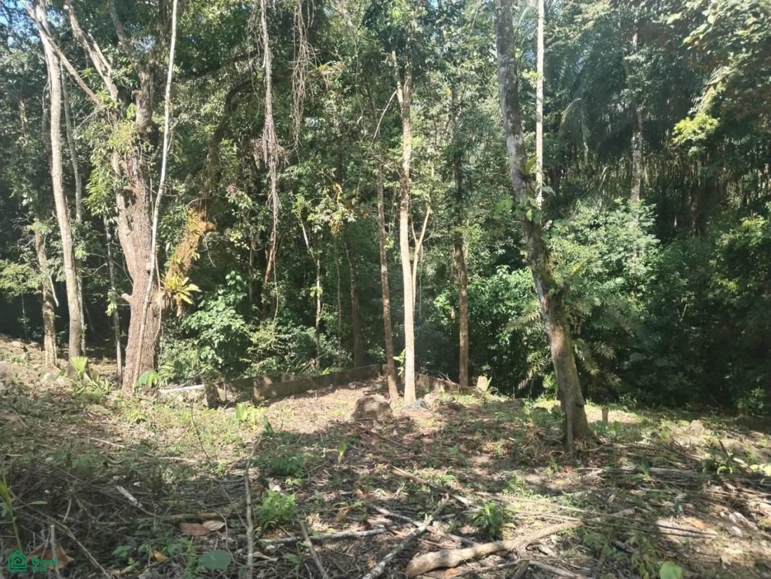 Land in Quepos, Puntarenas Province, Costa Rica 2 - 18628042