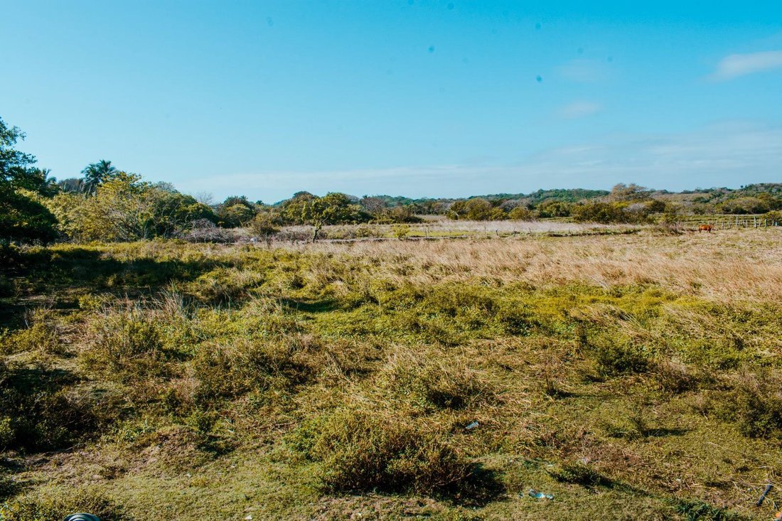 Land in Playa Zapote, Veracruz, Mexico 4 - 18629599