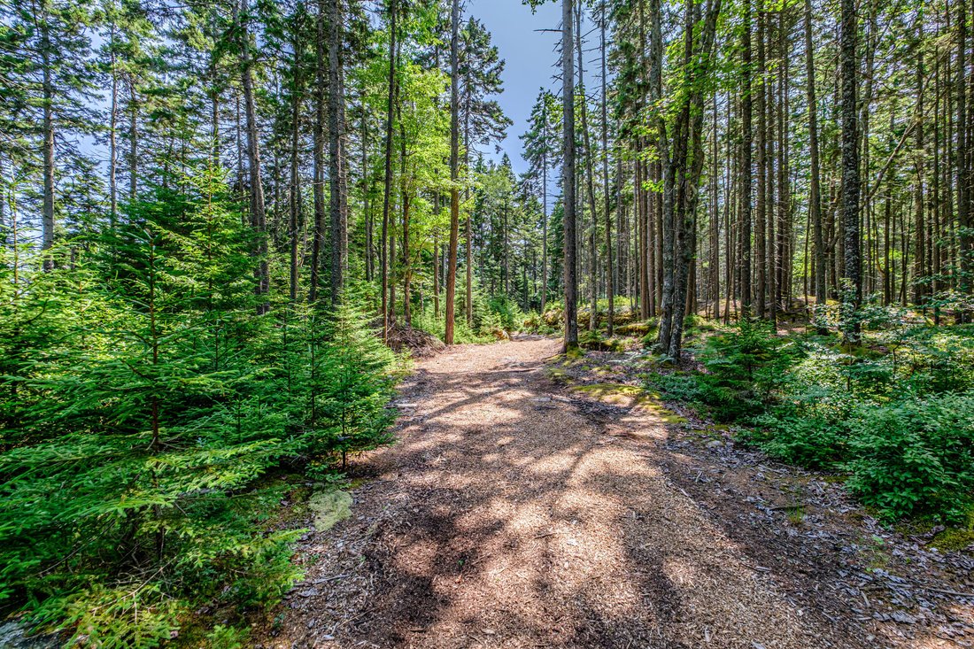 Land in Phippsburg, Maine, United States 5 - 18628187