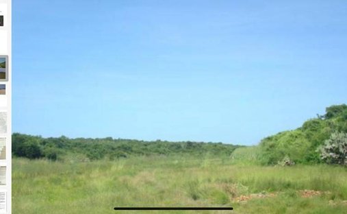 Land in Mazamitla, Jalisco, Mexico 1