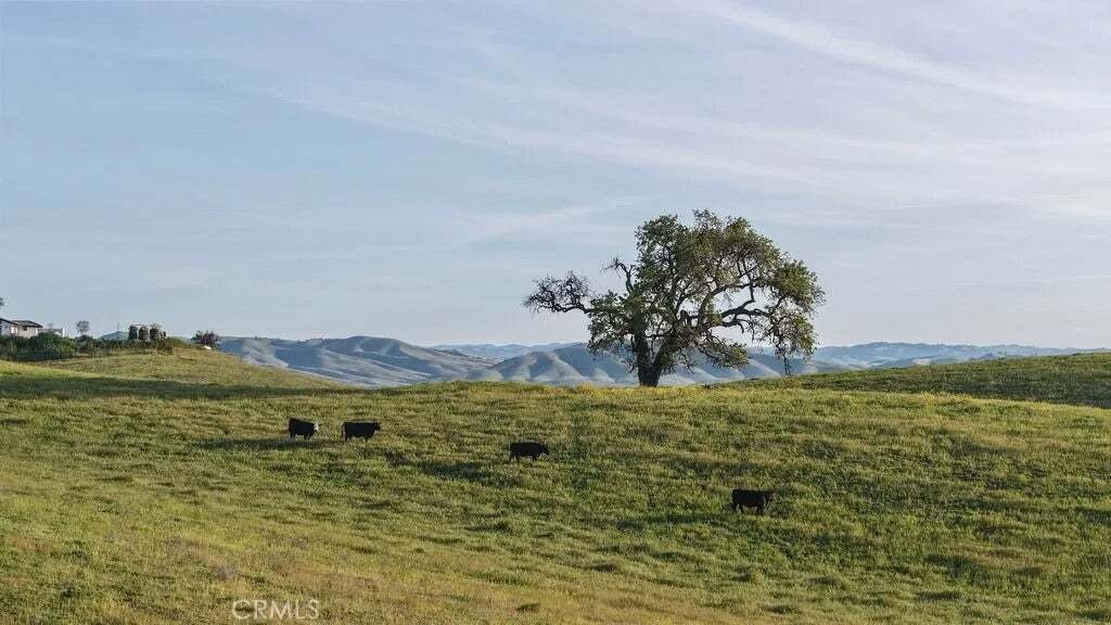 House in Paso Robles, California, United States 4 - 18629158