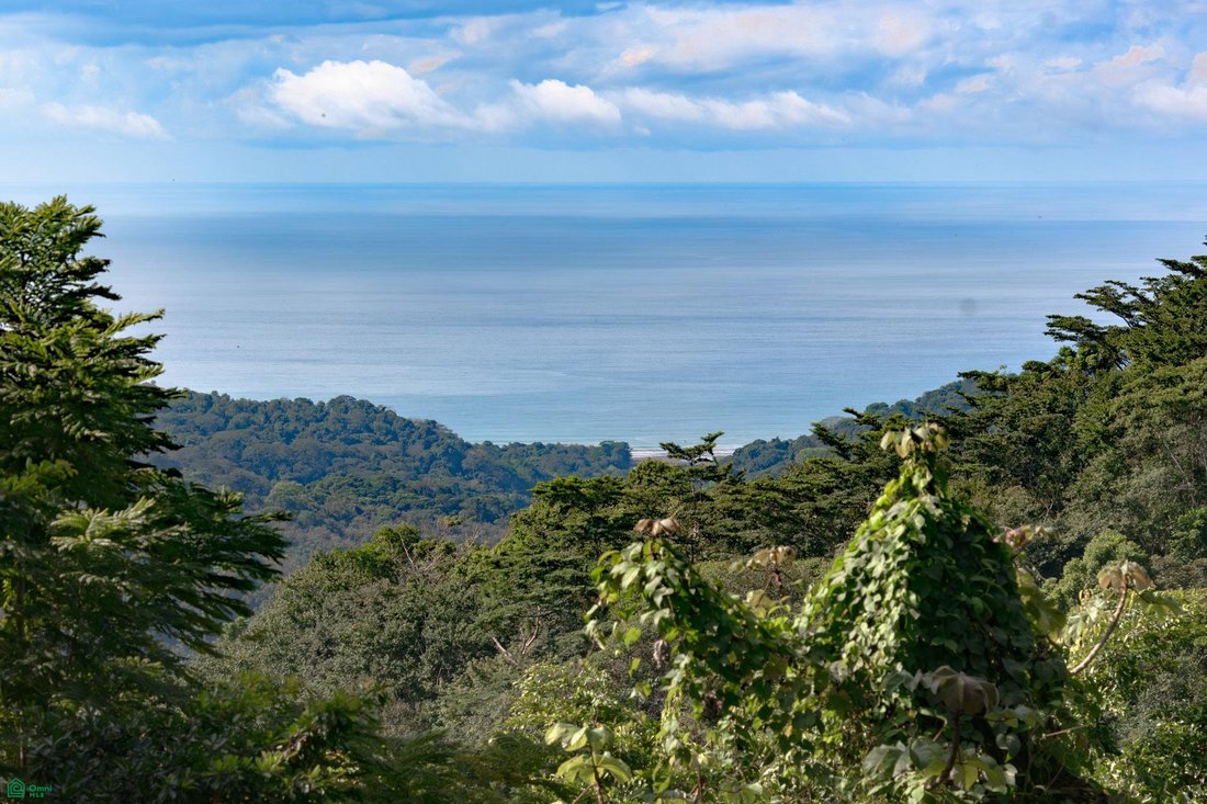 Land in Bahía Ballena, Pérez Zeledón, Costa Rica 2 - 18111949