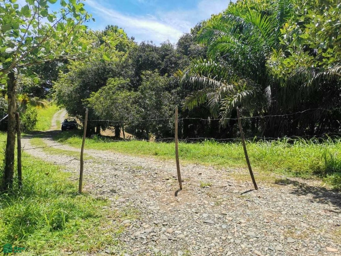 Land in Quepos, Puntarenas Province, Costa Rica 3 - 17811225