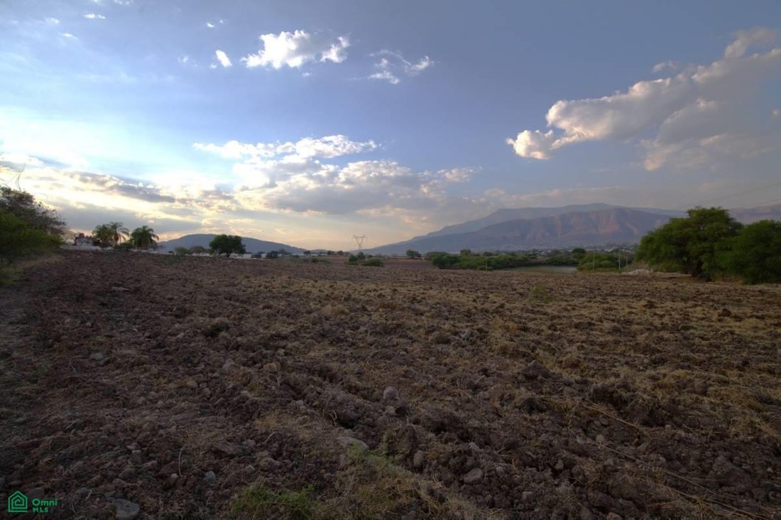 Land in San Martin, Jalisco, Mexico 1 - 17845434