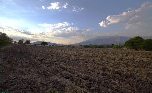 Land in San Martin, Jalisco, Mexico 1
