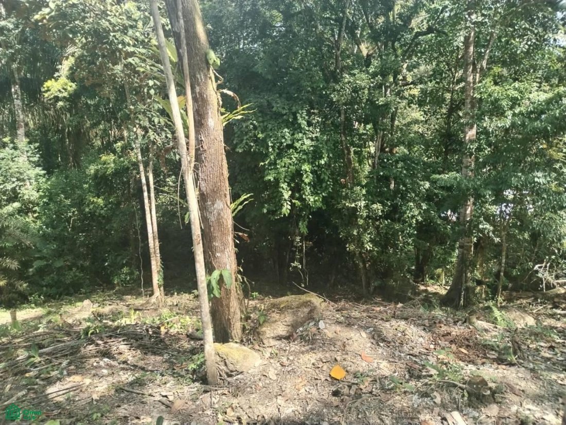 Land in Quepos, Puntarenas Province, Costa Rica 5 - 18628042