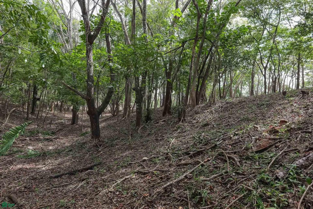 Land in Cuajiniquil, Santa Cruz, Costa Rica 3 - 18459593