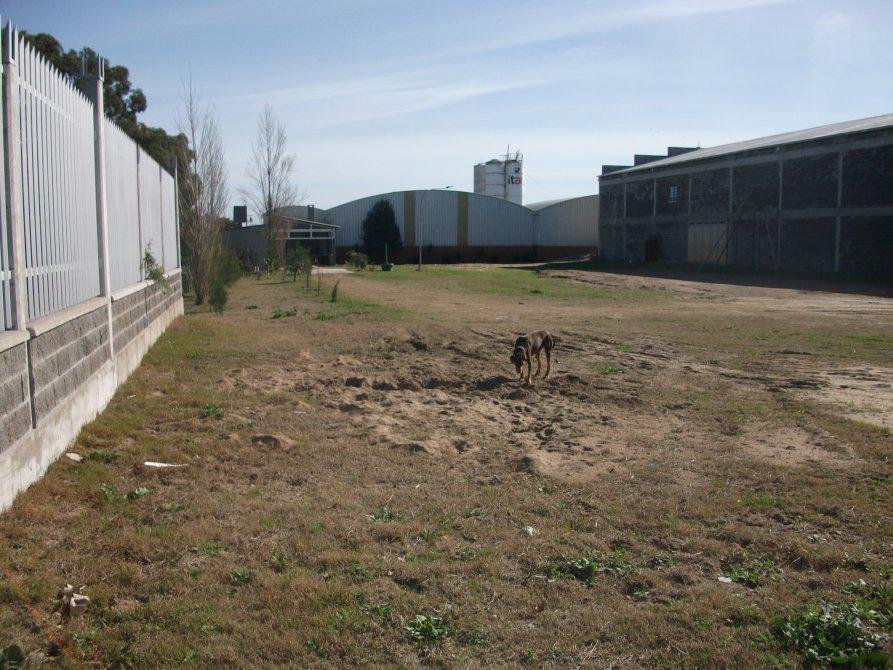 Land in Pinamar, Buenos Aires Province, Argentina 4 - 18626986