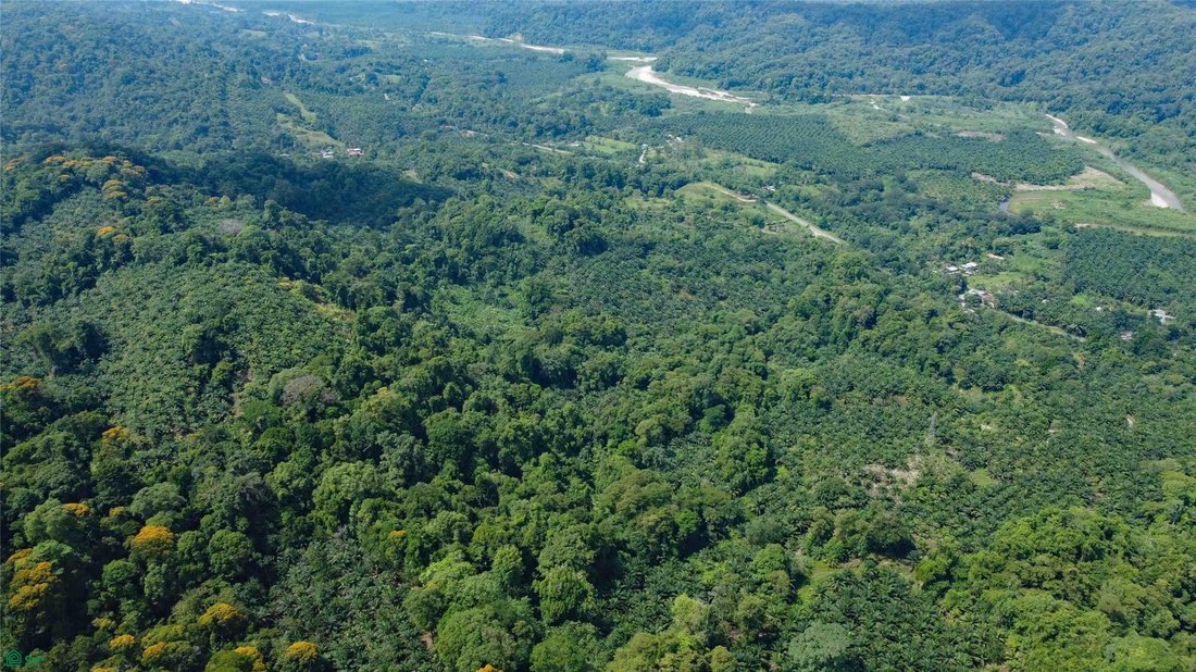 Terreno a Piedras Blancas, Provincia di Puntarenas, Costa Rica 1 - 18030334