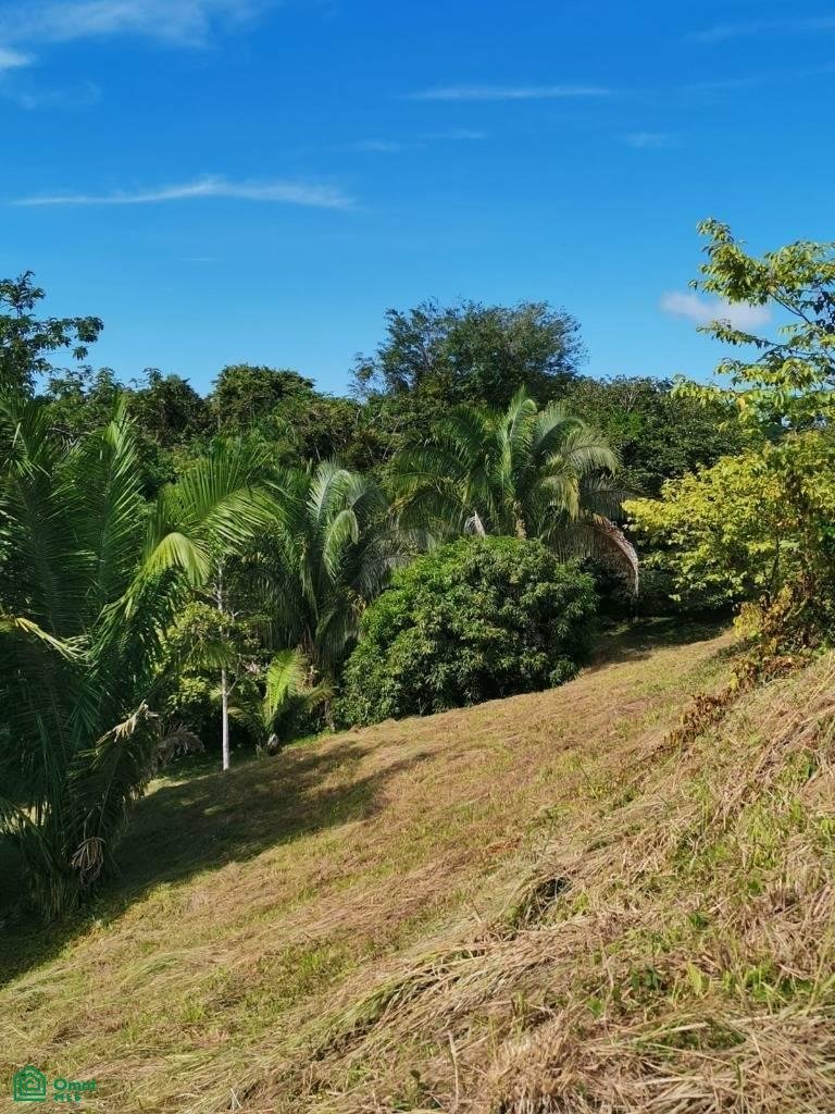 Land in Quepos, Puntarenas Province, Costa Rica 4 - 17811225
