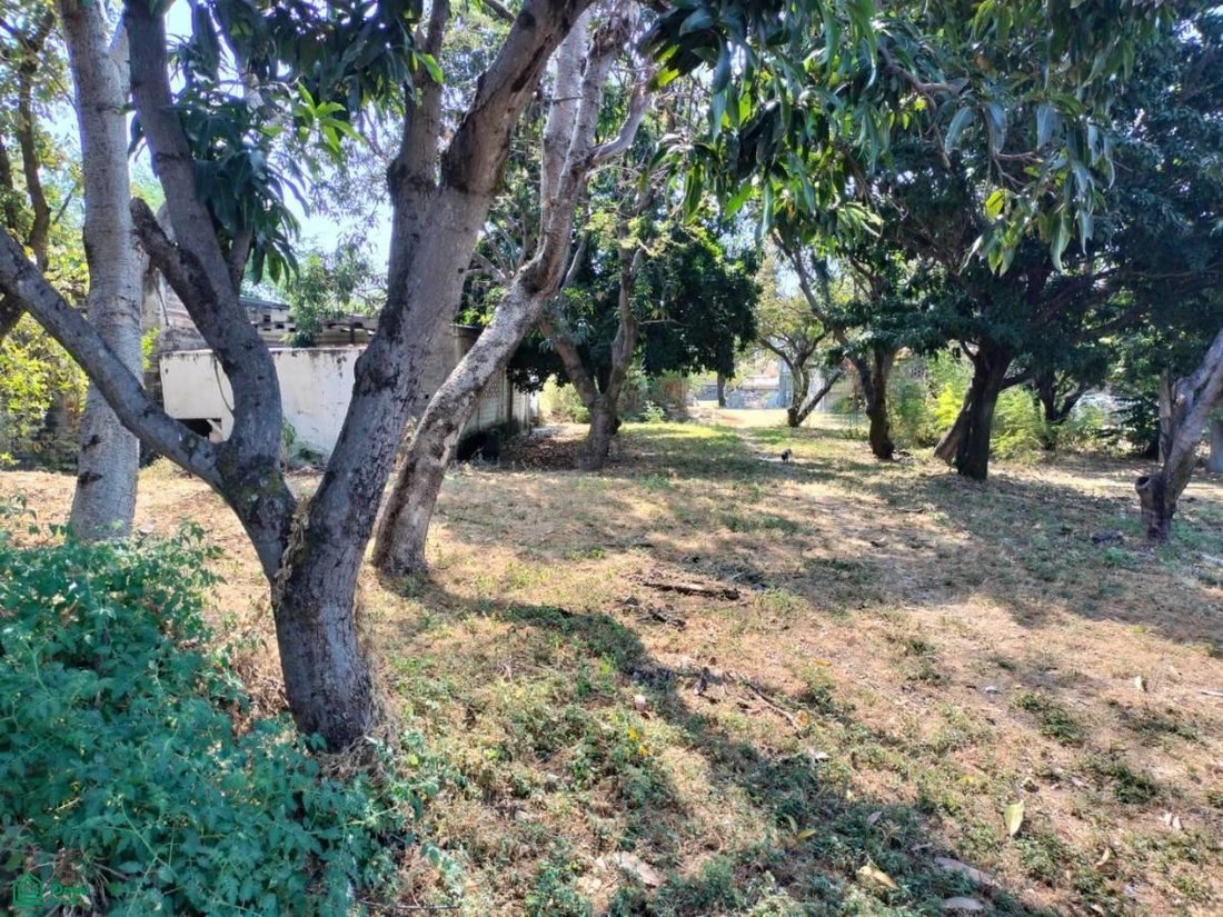 Land in Miacatlán, Morelos, Mexico 4 - 17815055