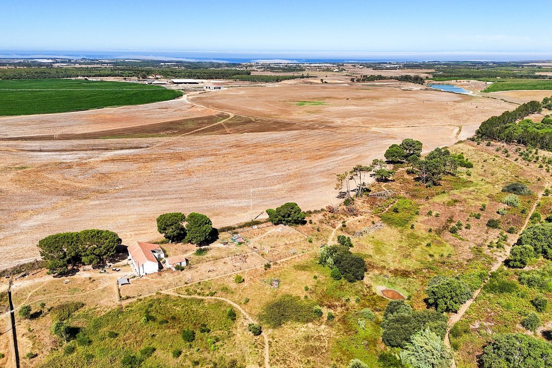 Finca in S.Teotónio, Beja District, Portugal 3 - 18629968