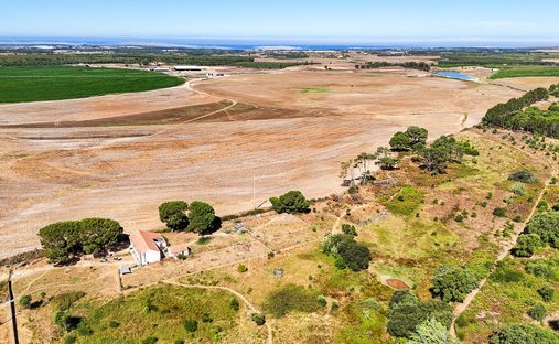 Finca in S.Teotónio, Beja District, Portugal 1