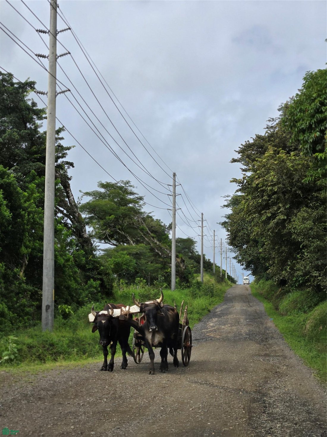 Land in Dos Ríos, Upala, Costa Rica 3 - 17979047