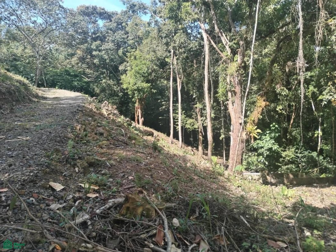 Land in Quepos, Puntarenas Province, Costa Rica 3 - 18628042