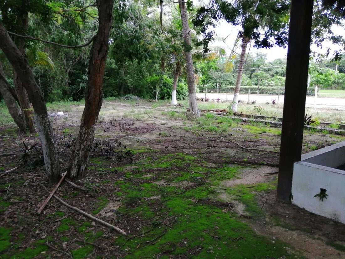 Land in Playa del Carmen, Quintana Roo, Mexico 5 - 18626628