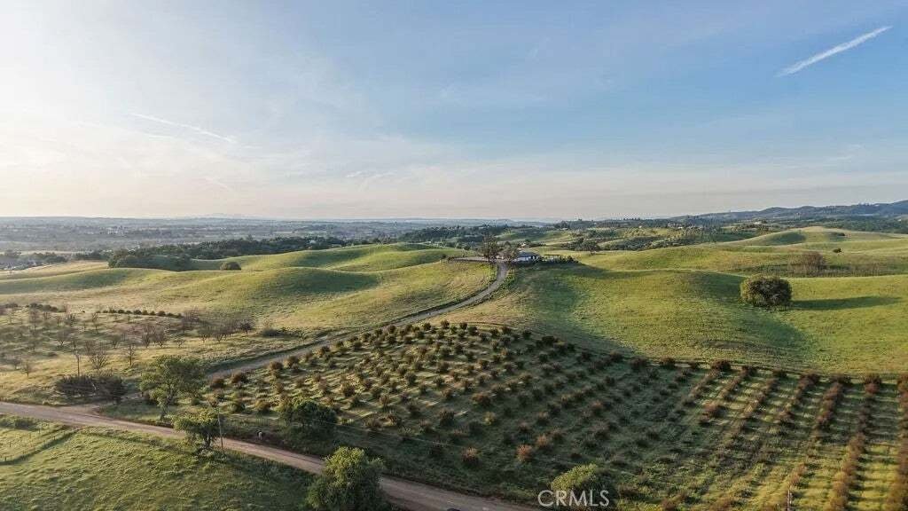 House in Paso Robles, California, United States 3 - 18629158