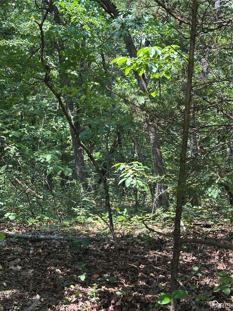 Land in Drury, Missouri, United States 5 - 18628096