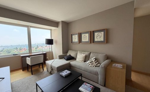 Condo in Mexico City, Mexico 1
