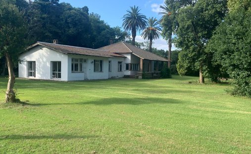 House in Arana, Buenos Aires Province, Argentina 1