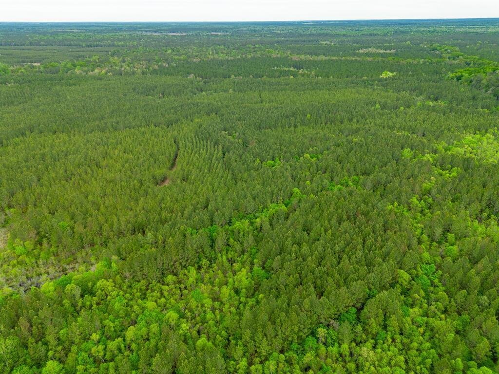 Land in Abbeville, Georgia, United States 1 - 18628086