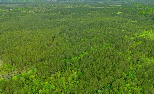 Land in Abbeville, Georgia, United States 1