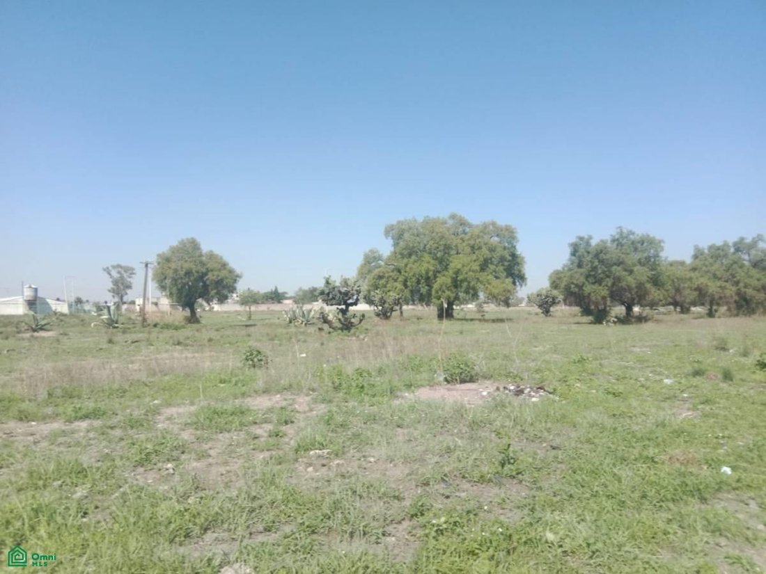 Land in San Martín Azcatepec, State of Mexico, Mexico 4 - 18361894