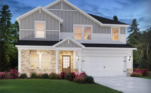 House in Braselton, Georgia, United States 1