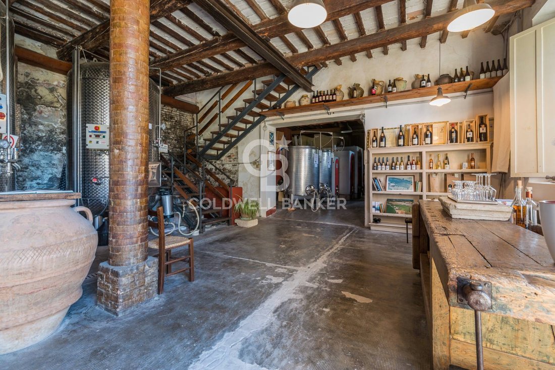 Country House in Montescudo-Monte Colombo, Emilia-Romagna, Italy 3 - 18630449