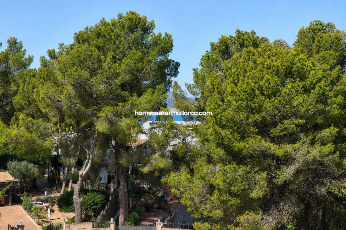 Villa in Rotes Velles, Calvia, Balearic Islands 5 - 18626548