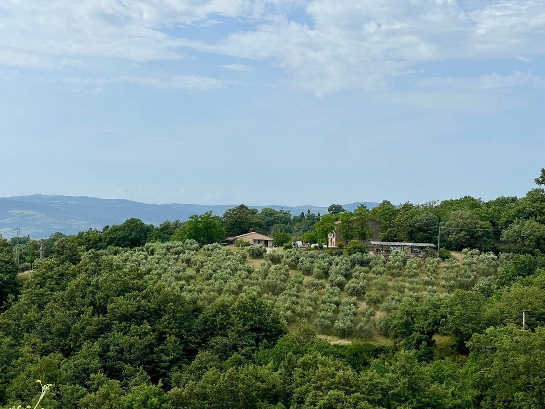 Country House in Manciano, Tuscany, Italy 1 - 18630445
