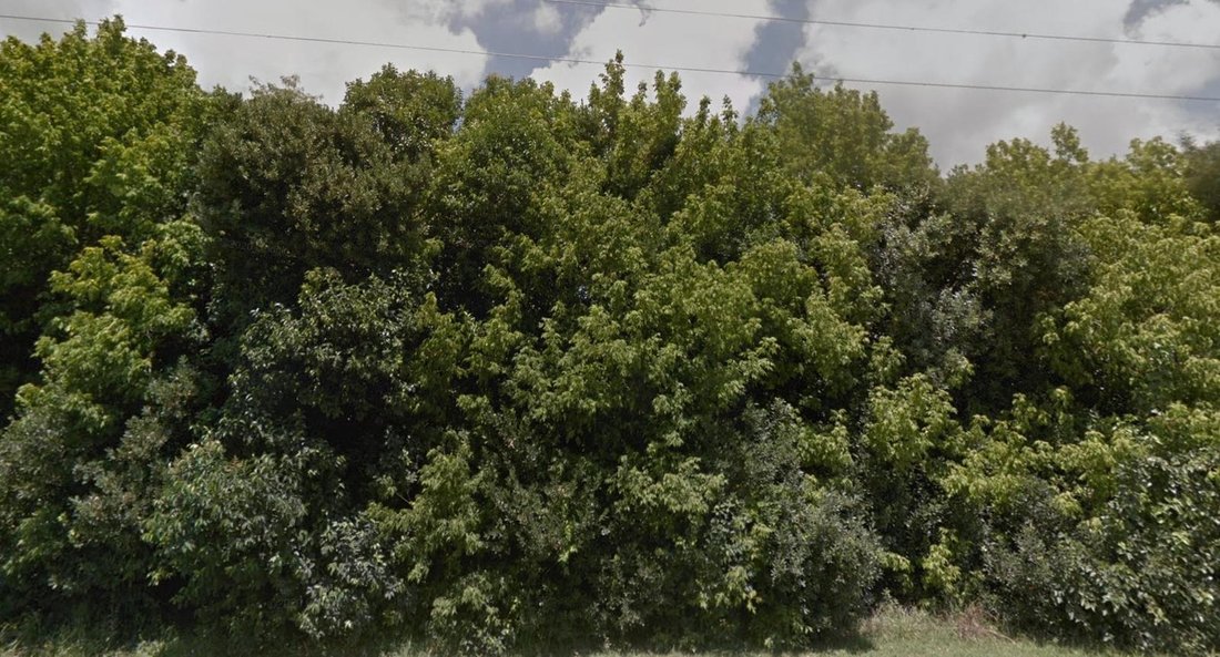 Land in Lisandro Olmos, Buenos Aires Province, Argentina 3 - 18627181