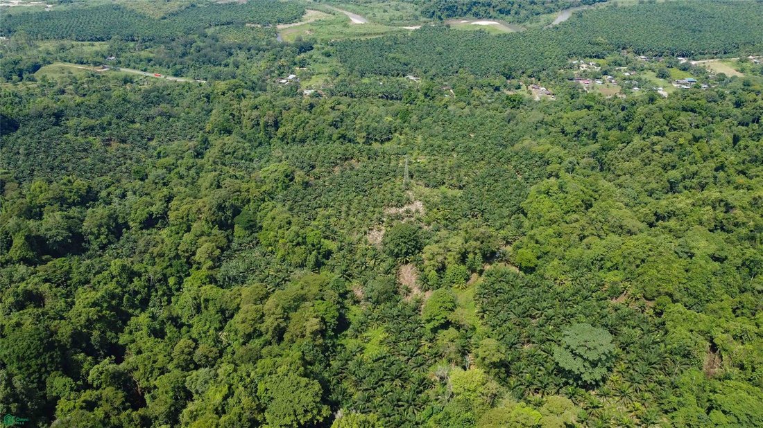 Terreno a Piedras Blancas, Provincia di Puntarenas, Costa Rica 3 - 18030334