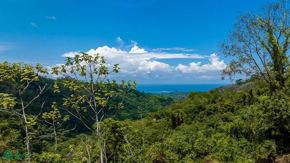 Land in Quebrada, Puntarenas Province, Costa Rica 1 - 18592230