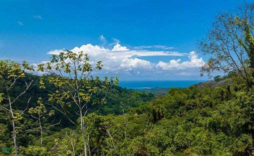 Land in Quebrada, Puntarenas Province, Costa Rica 1