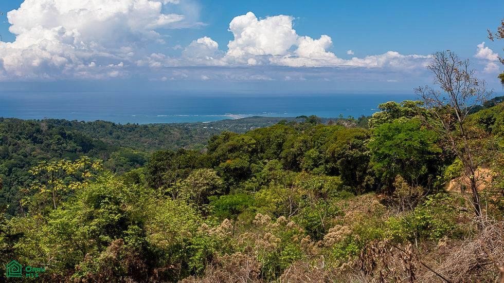 Land in Quebrada, Puntarenas Province, Costa Rica 2 - 18592230