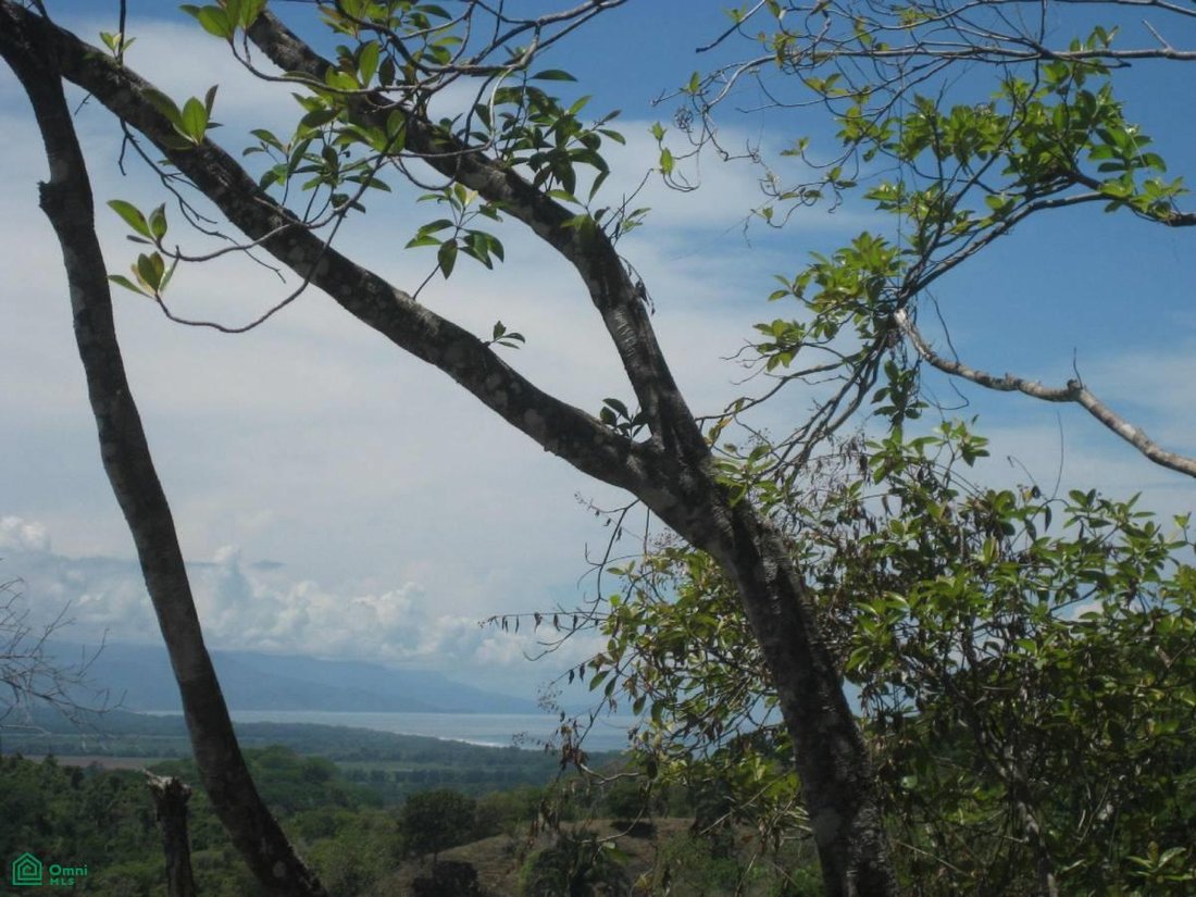 Land in Quepos, Puntarenas Province, Costa Rica 2 - 17811227