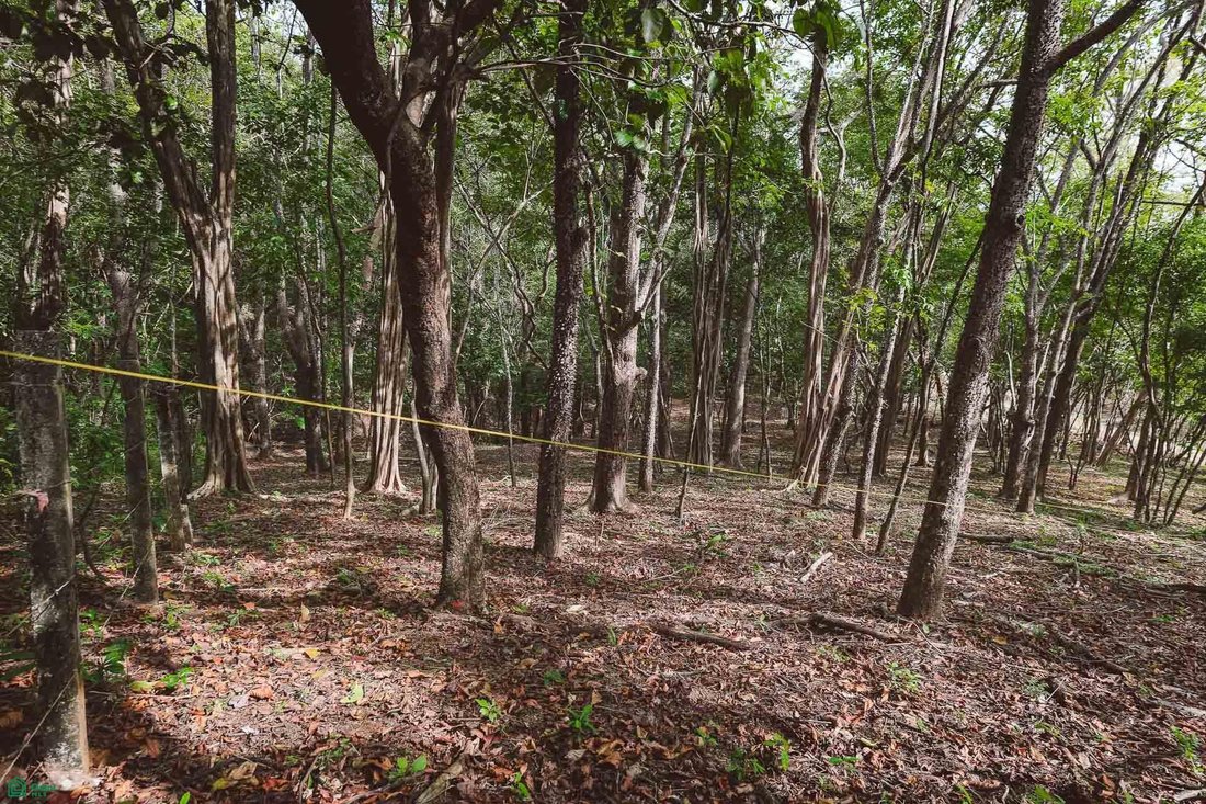 Land in Cuajiniquil, Santa Cruz, Costa Rica 1 - 18459593